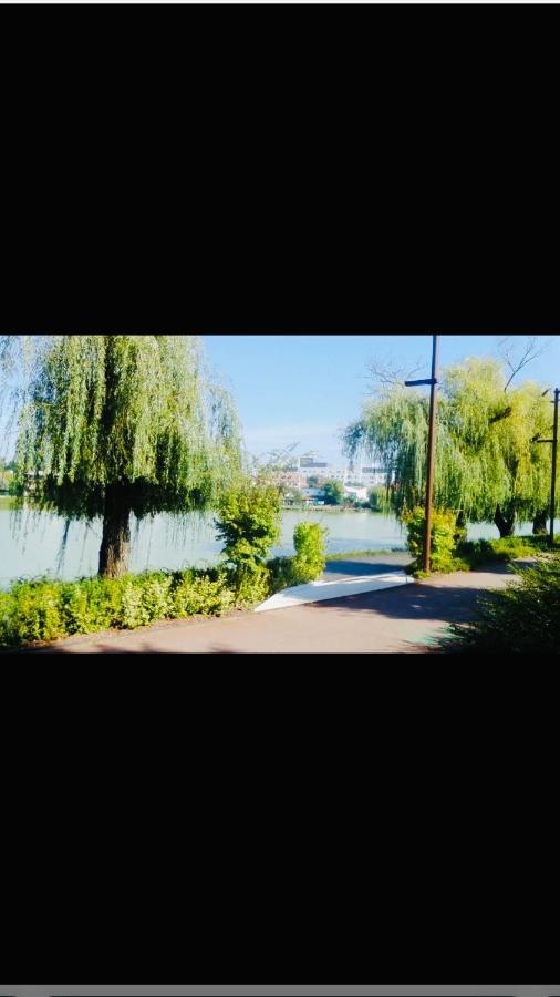 By The Lake Apartment Cluj-Napoca Exterior foto